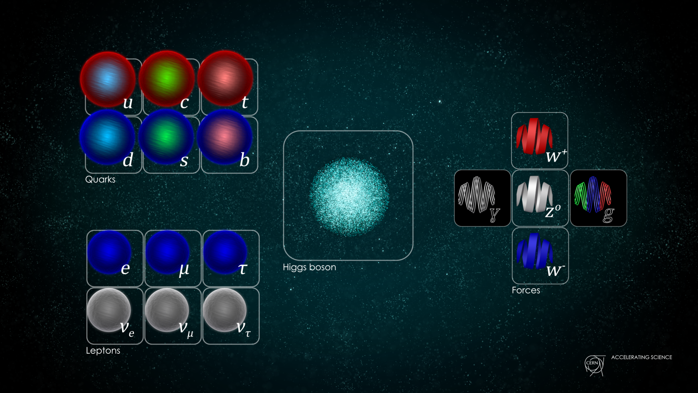 standard model